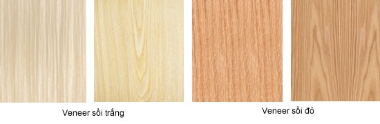 gỗ veneer sồi